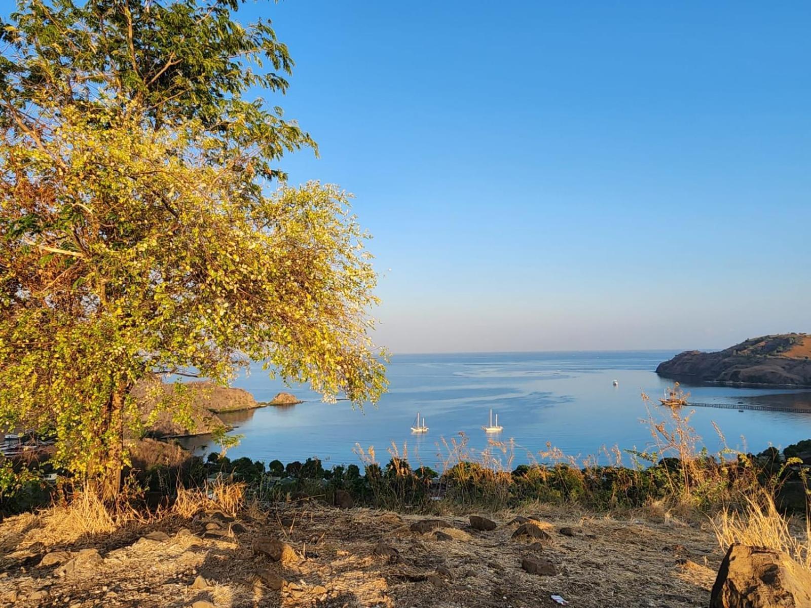 Sylvia Hotel & Resort Komodo Labuan Bajo Kültér fotó